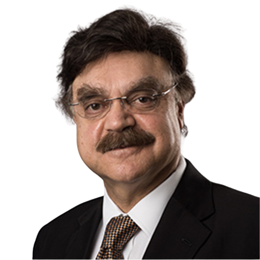 Prof. Javaid I. Sheikh