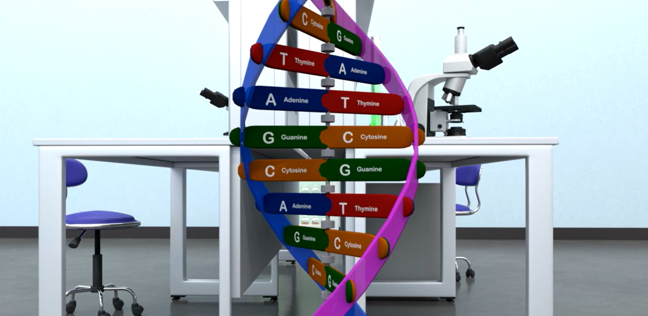 Genome Heroes - DNA
